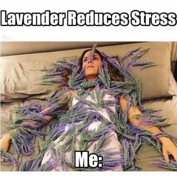 ZenPeace and No Stress! - Picture 2 of 4